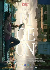 The Pigeon