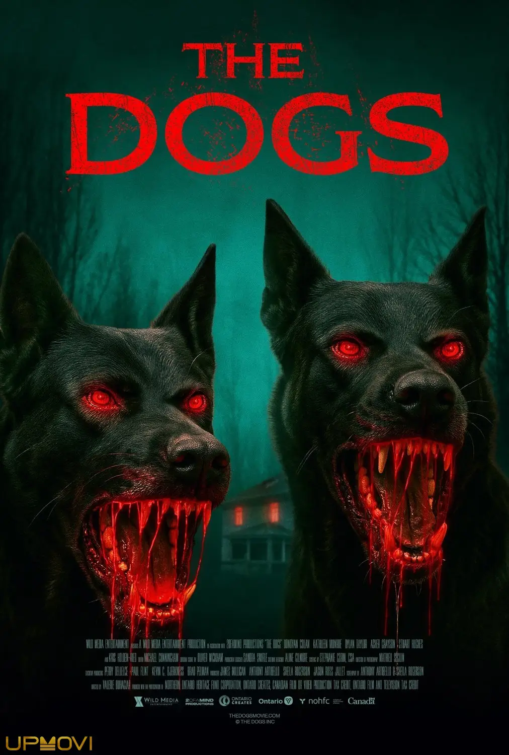 The Dogs
