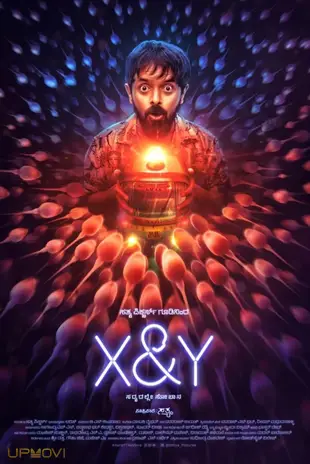 X & Y