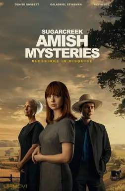 Sugarcreek Amish Mysteries: Blessings in Disguise