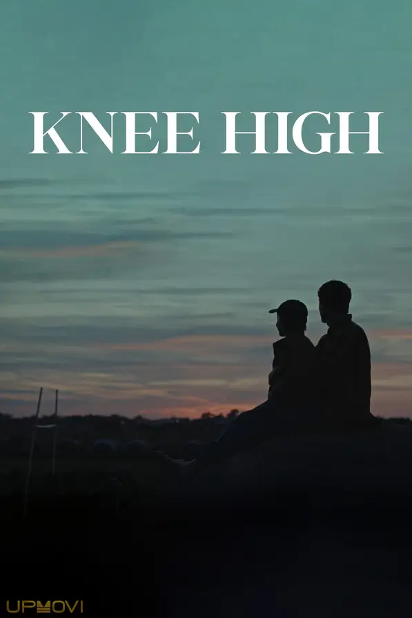Knee High