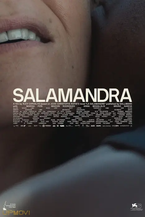 The Salamander