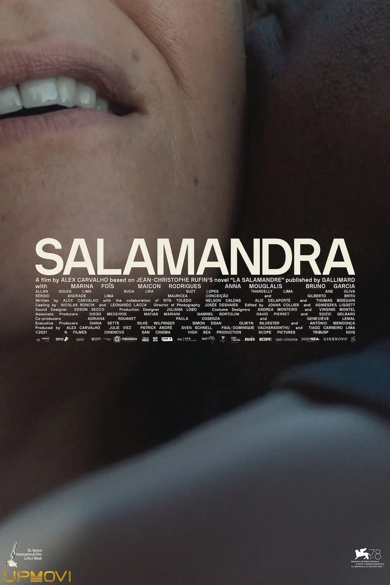 The Salamander