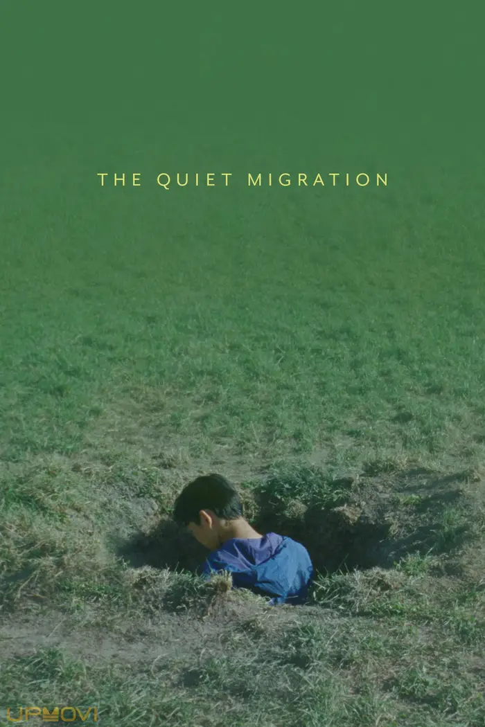 The Quiet Migration
