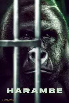 Harambe