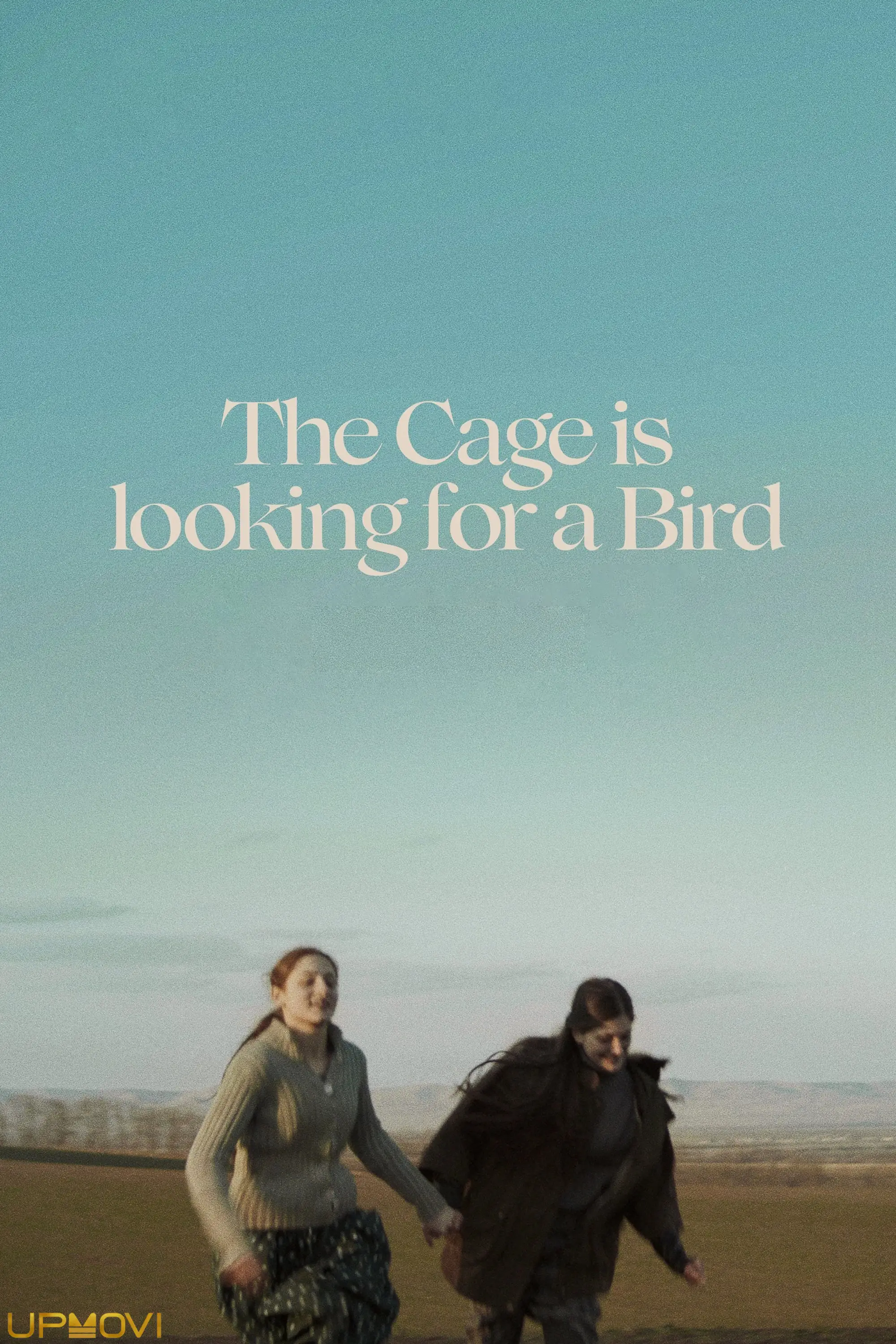 The Cage is Looking for a Bird