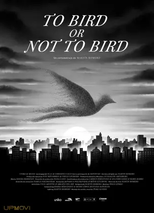 To Bird or Not to Bird