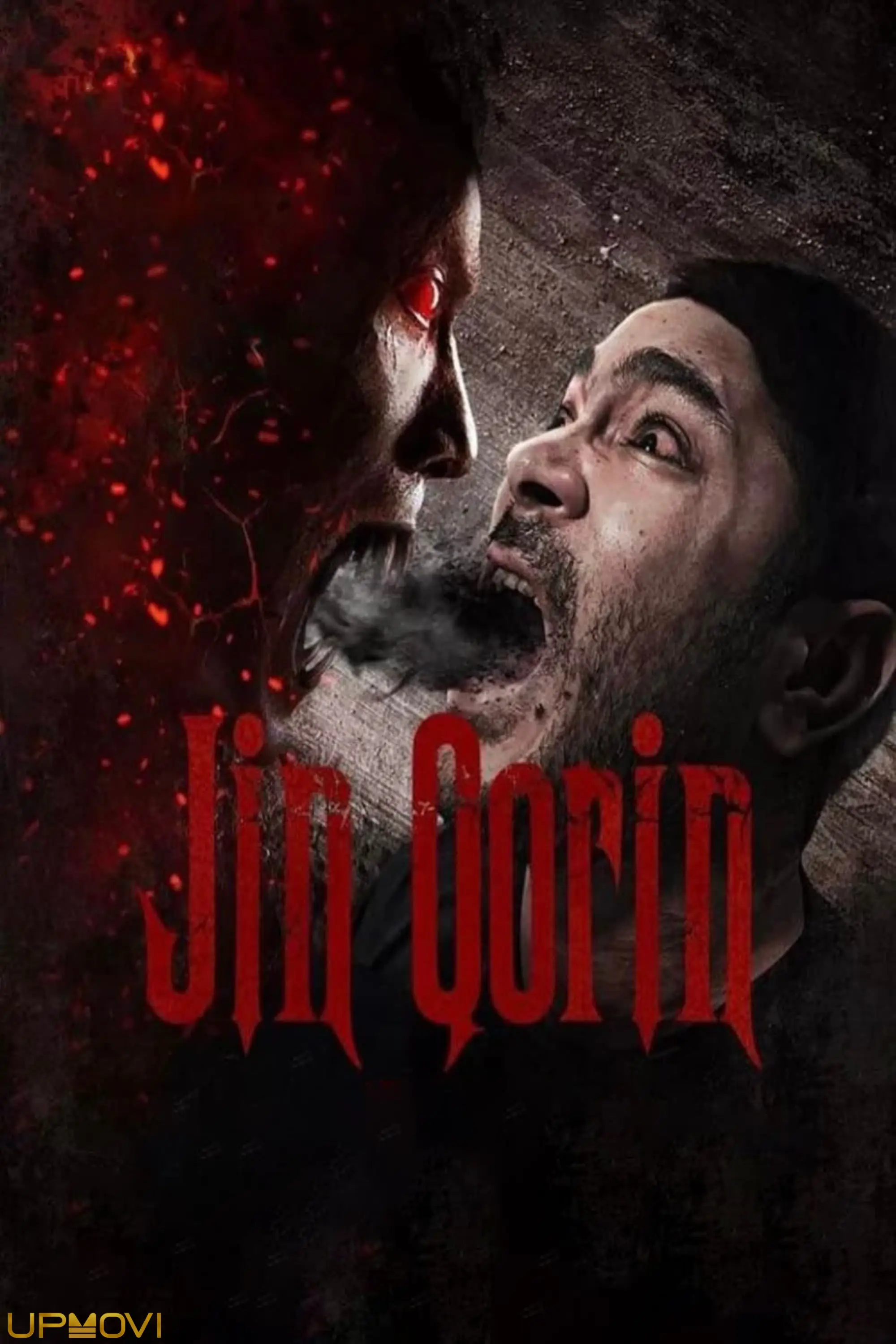 Jin Qorin