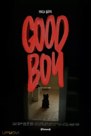 Good Boy