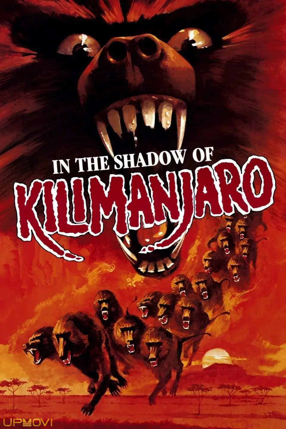 In the Shadow of Kilimanjaro