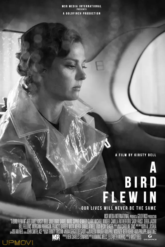 A Bird Flew In