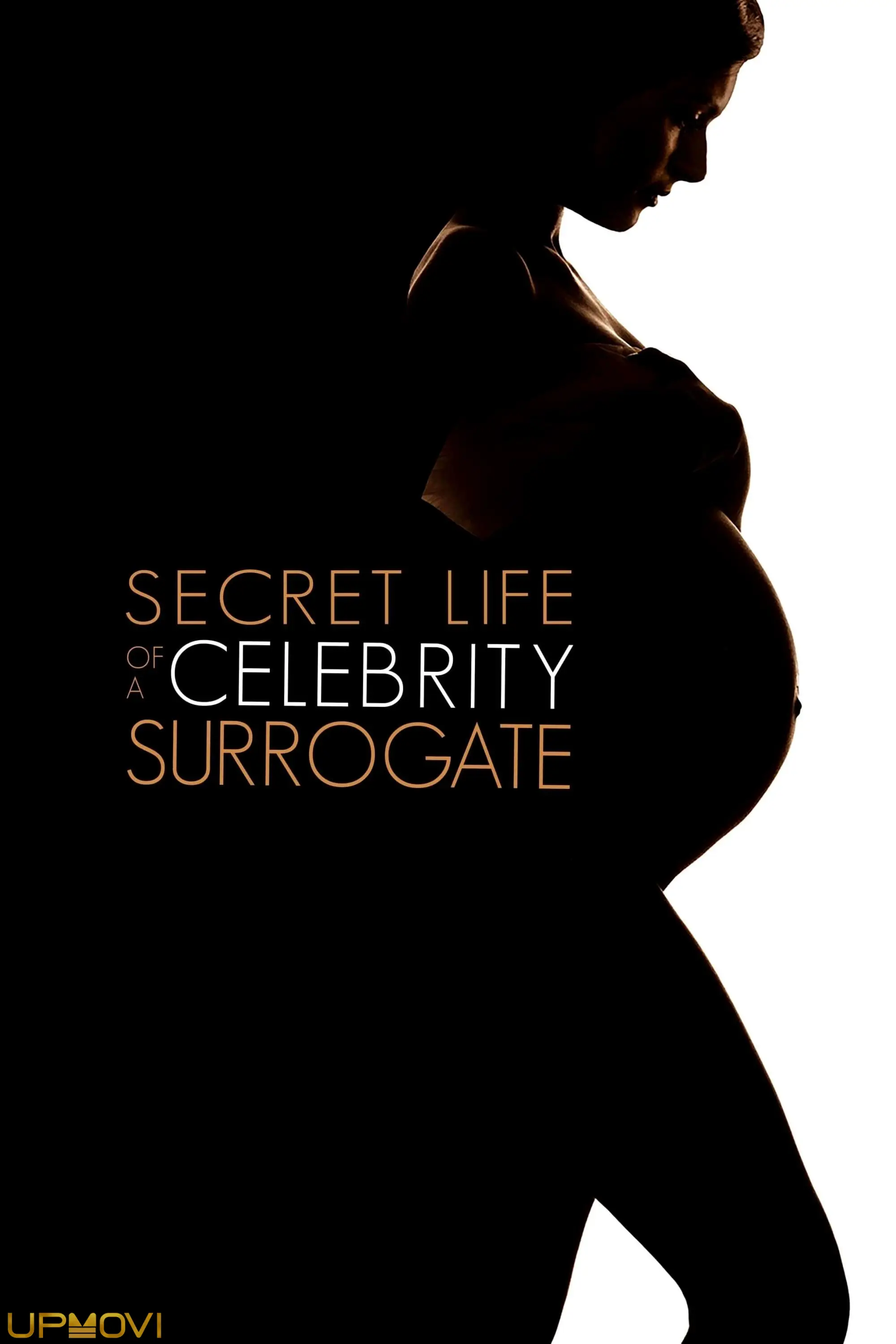 Secret Life of a Celebrity Surrogate