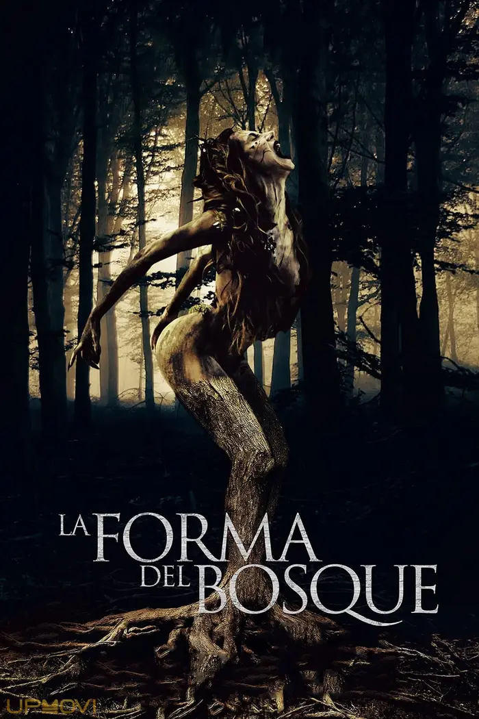 The Shape of the Woods