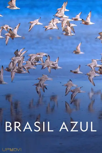 Blue Brazil