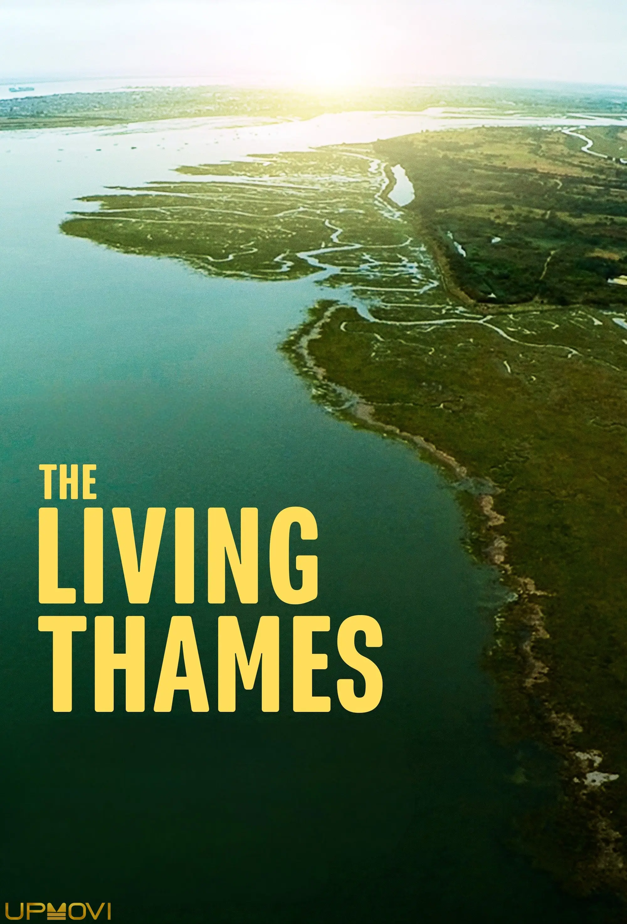 The Living Thames