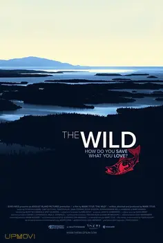The Wild