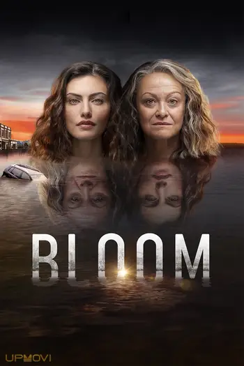 Bloom