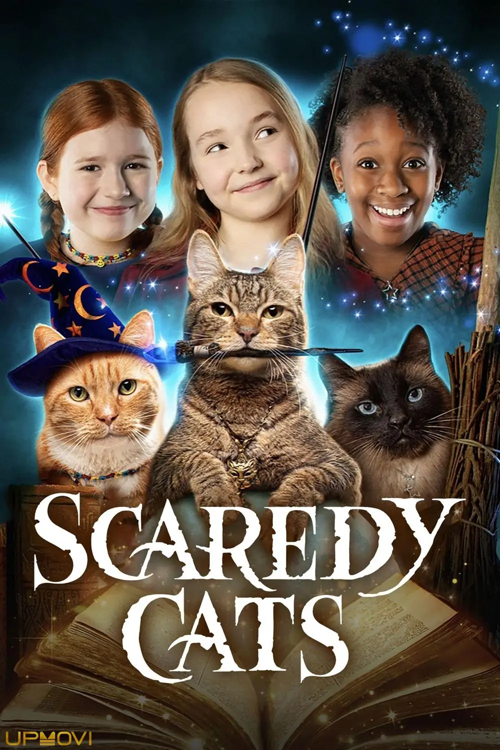 Scaredy Cats