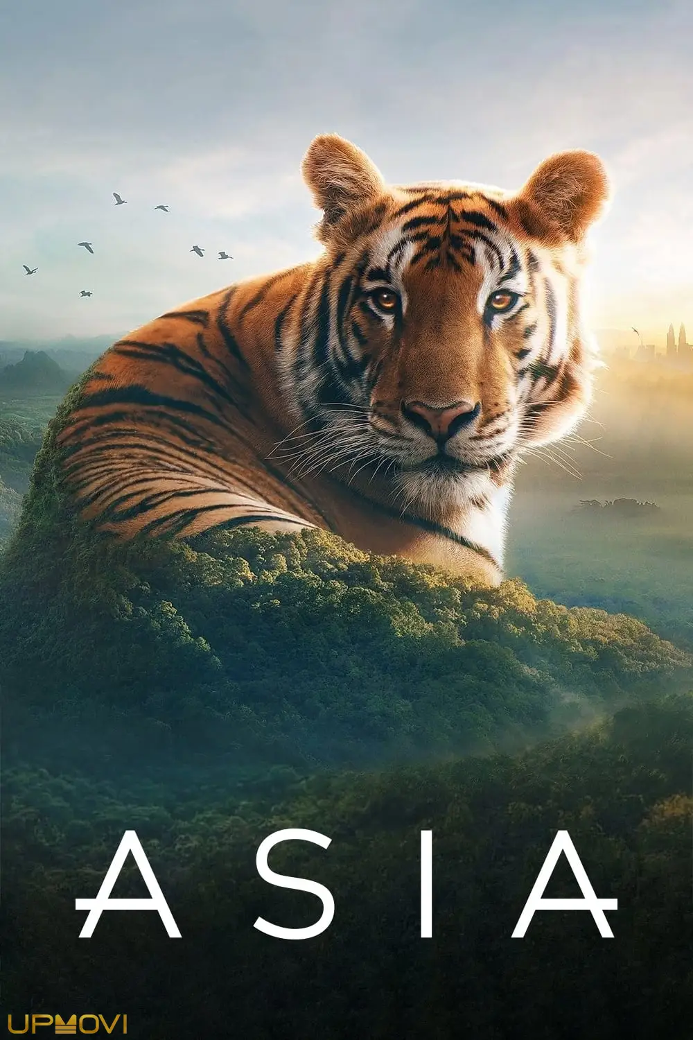 Asia