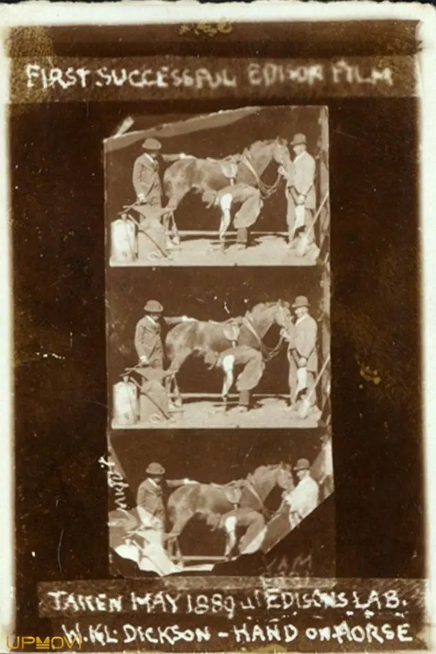 Horse Shoeing
