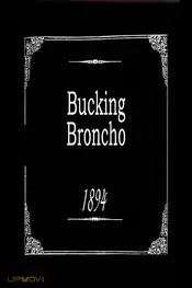Bucking Broncho