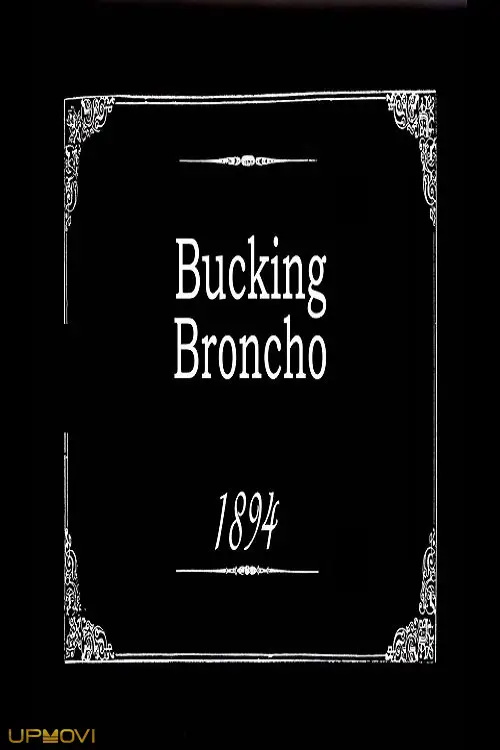Bucking Broncho