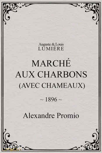 Marché aux charbons (avec chameaux)