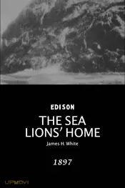 The Sea Lions' Home
