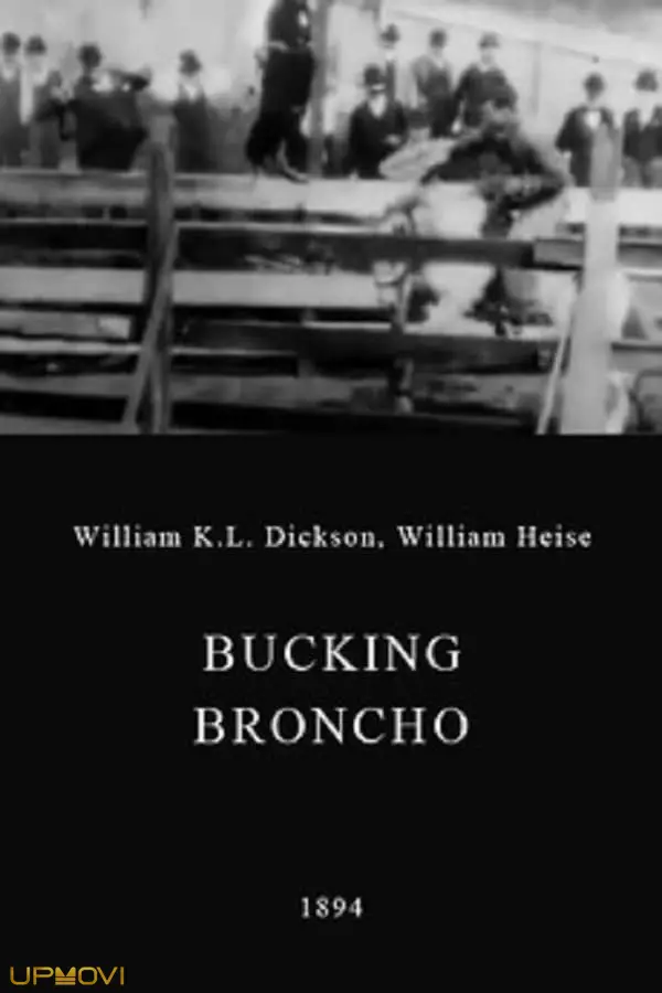 A Bucking Broncho