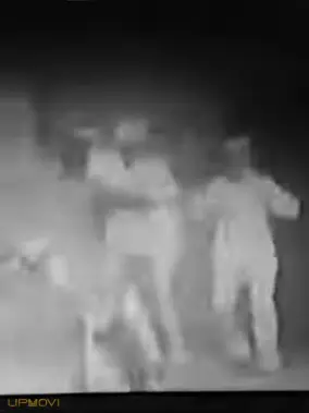 The Escaped Lunatic