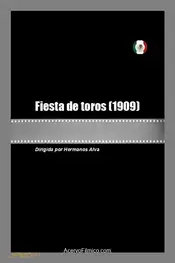 Fiesta de toros