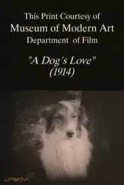 A Dog's Love