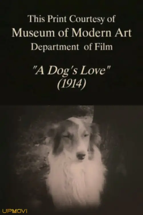 A Dog's Love