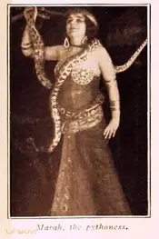 مارا، پیشگویه