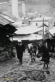 Sarajevo, the Capital of Bosnia