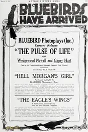 The Pulse of Life