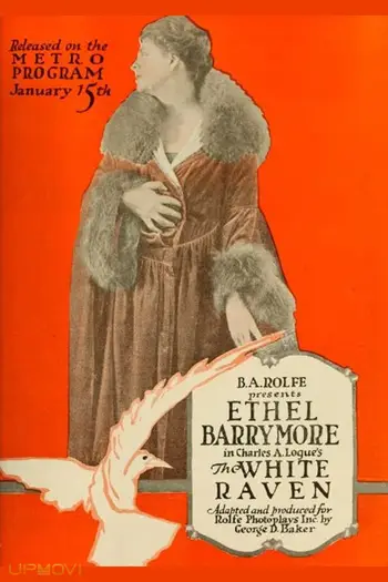 کلاغ سفید