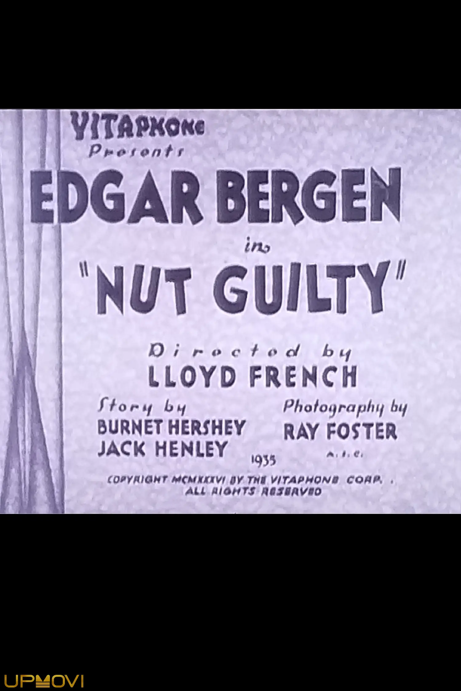 Nut Guilty