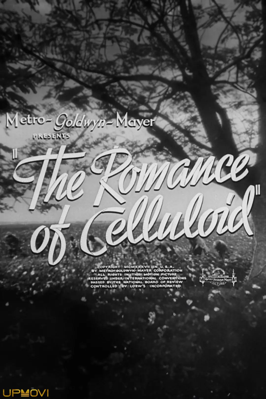 The Romance of Celluloid