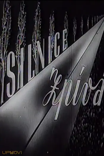 The Highway Sings