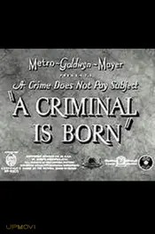 A Criminal Is Born