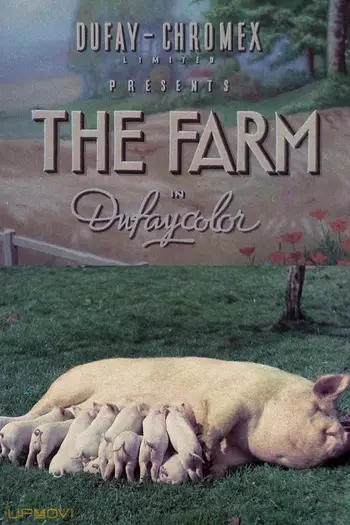 The Farm