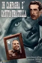 In campagna è caduta una stella