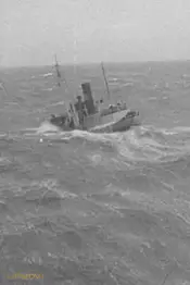 The Big Game of the Sea