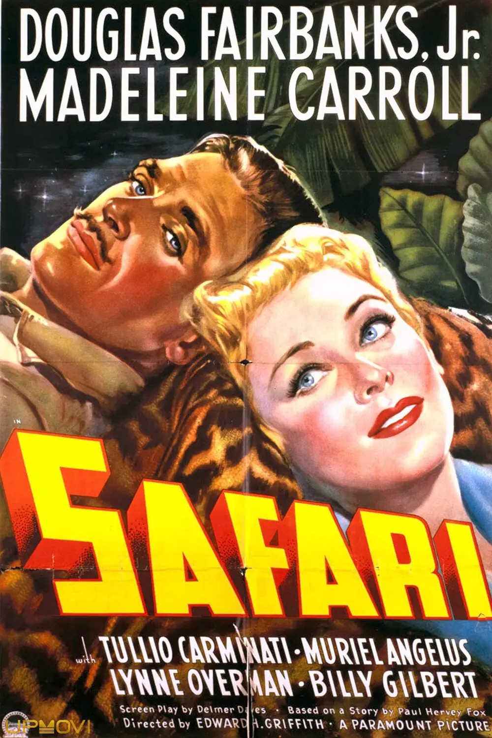 Safari