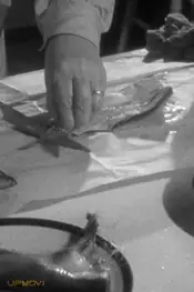 Herrings