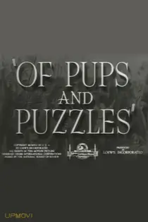 Of Pups and Puzzles