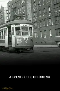 Adventure in the Bronx