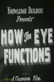 How the Eye Functions