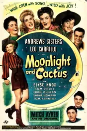 Moonlight and Cactus